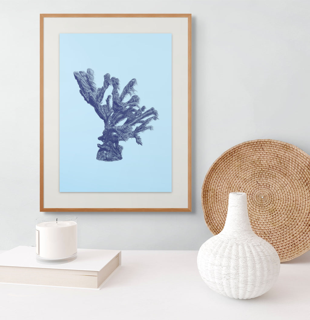 Coral No. 1 - Limited Edition