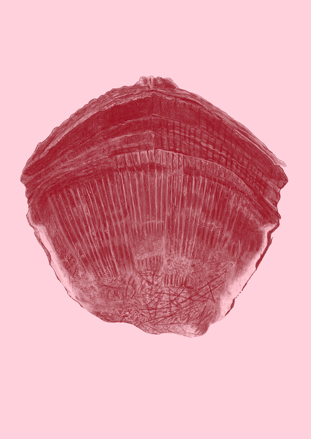 Scale No. 1 - Open Edition