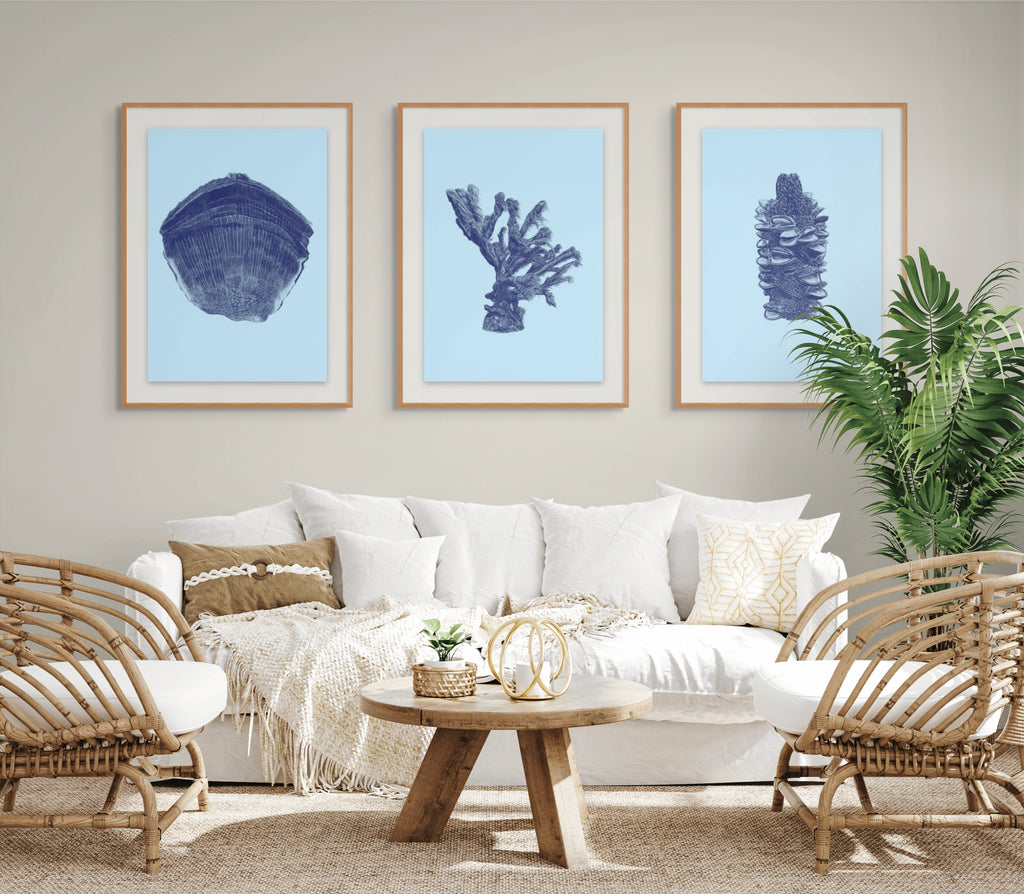 Banksia No. 1 - Limited Edition