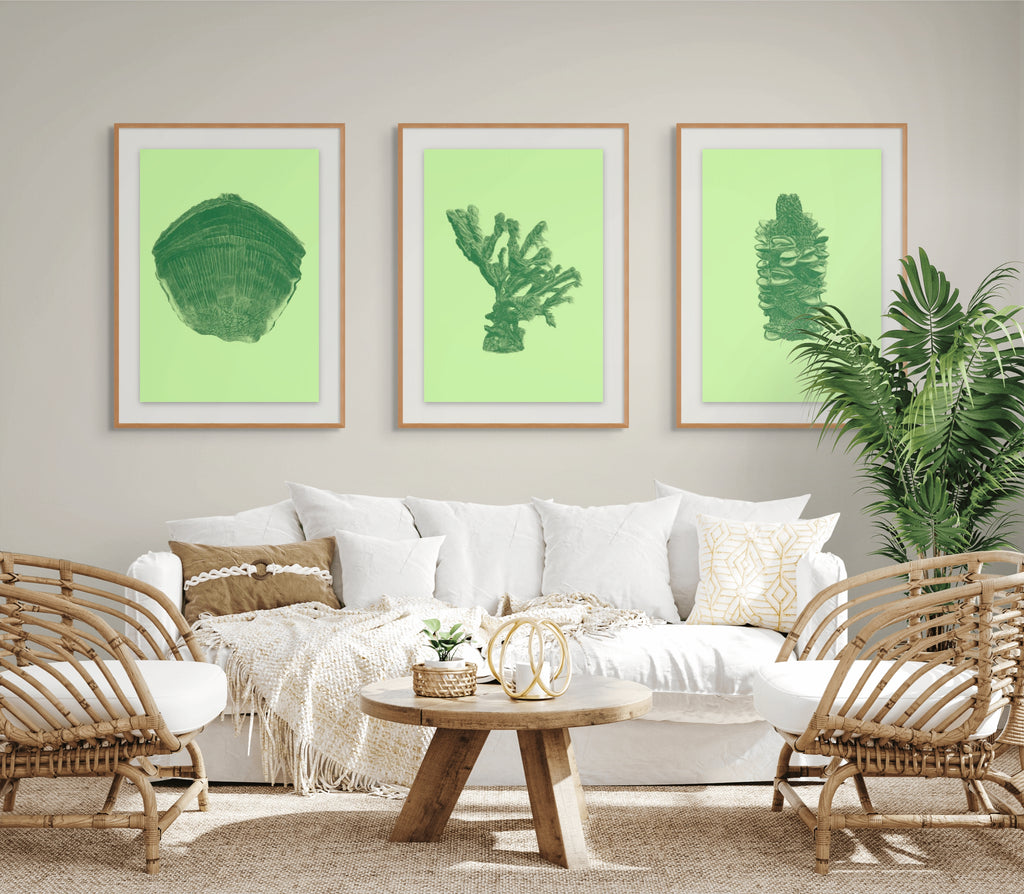 Banksia No. 1 - Limited Edition