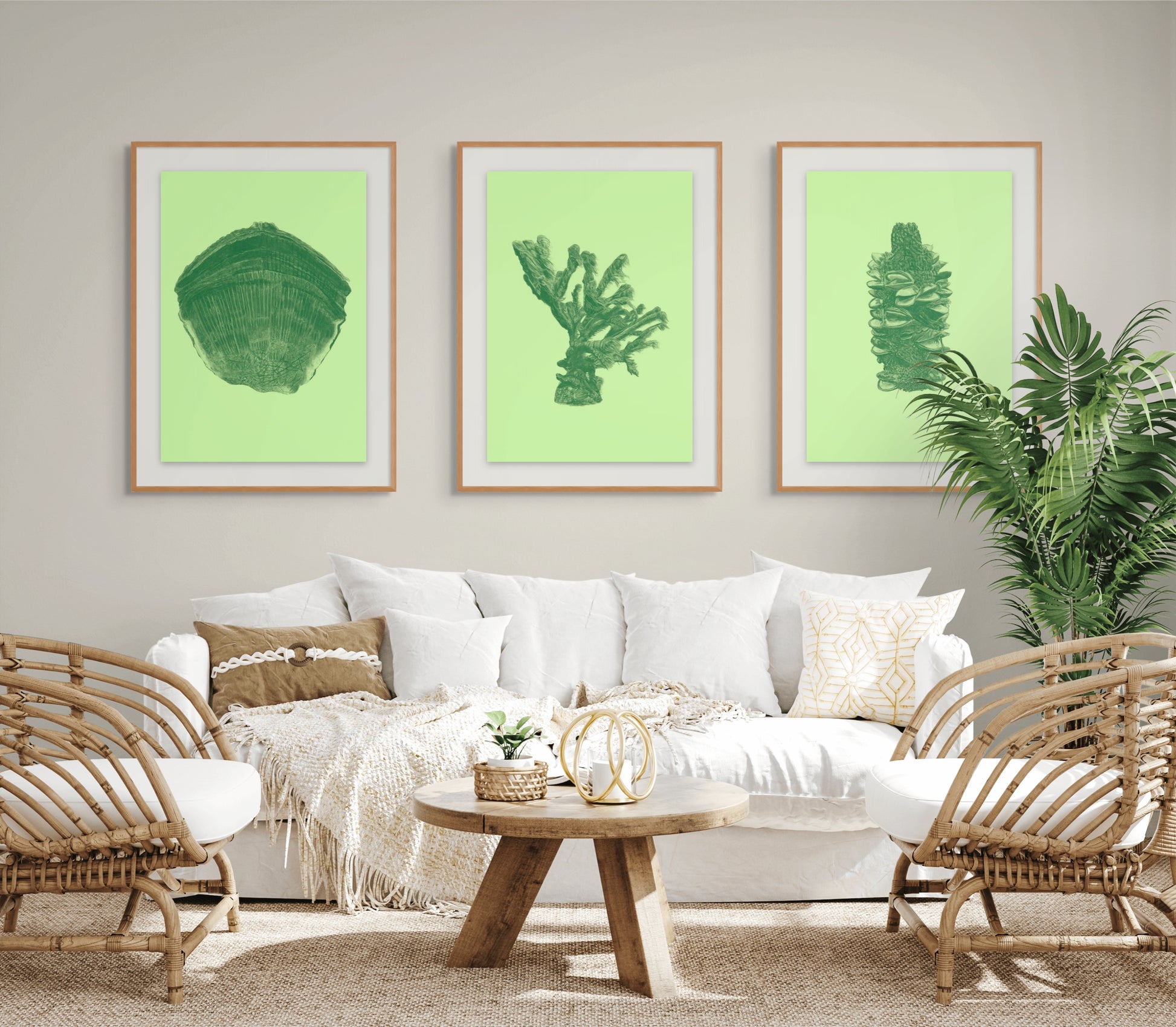 Banksia No. 1 - Limited Edition