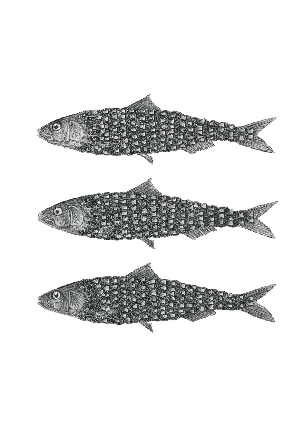 Sardine Soy NO.1 - Limited Edition