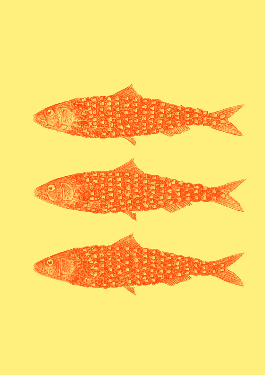 Sardine Soy NO.1 - Limited Edition