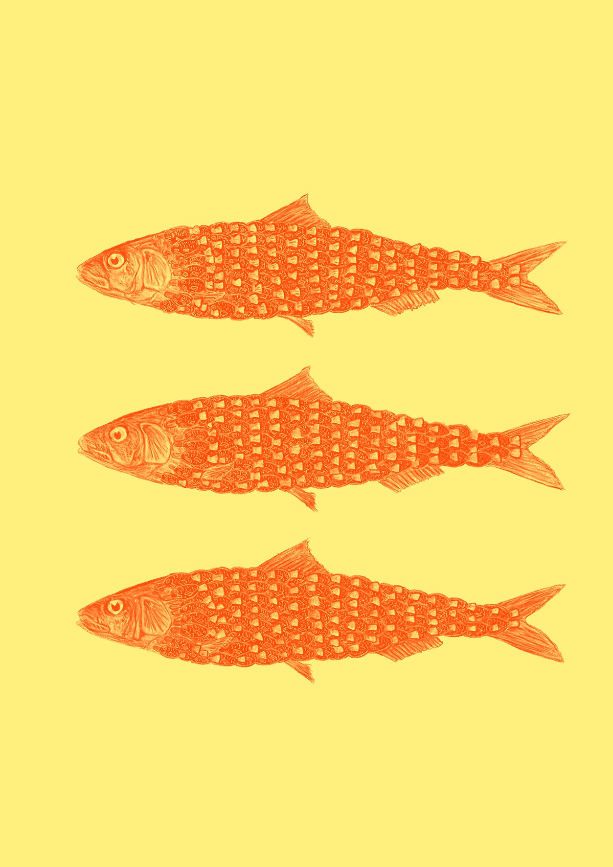 Sardine Soy NO.1 - Limited Edition