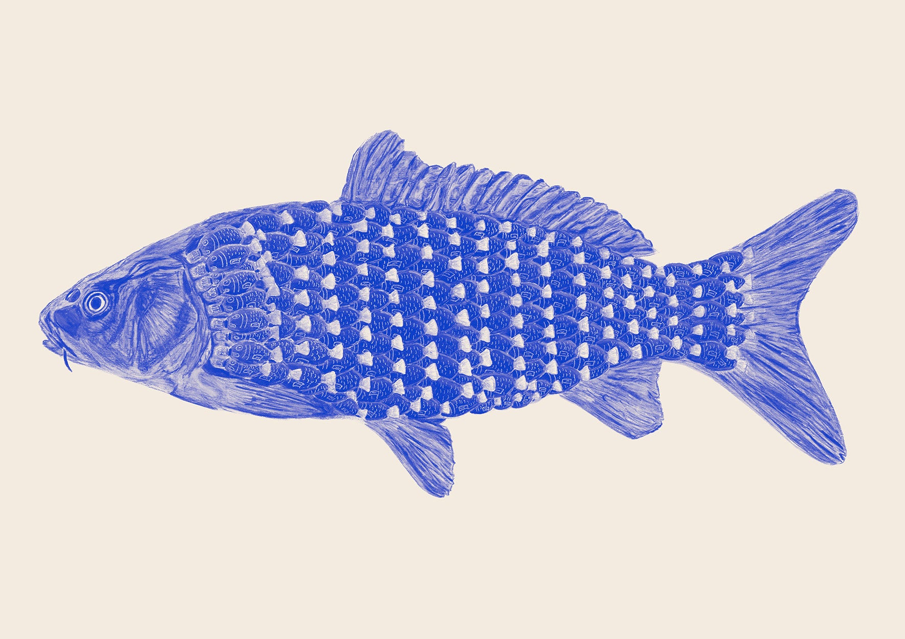 Soy Fish NO.1 - Limited Edition