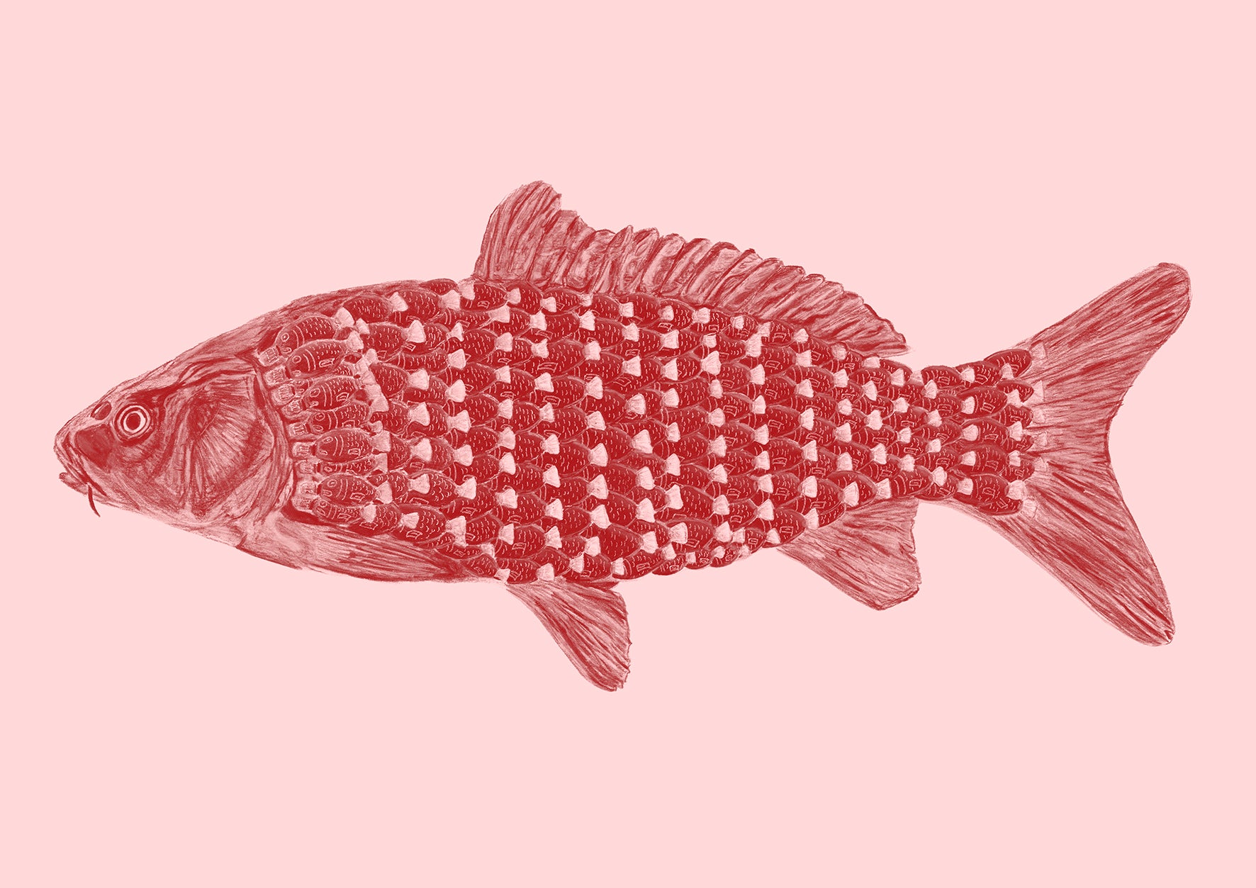 Soy Fish NO.1 - Limited Edition