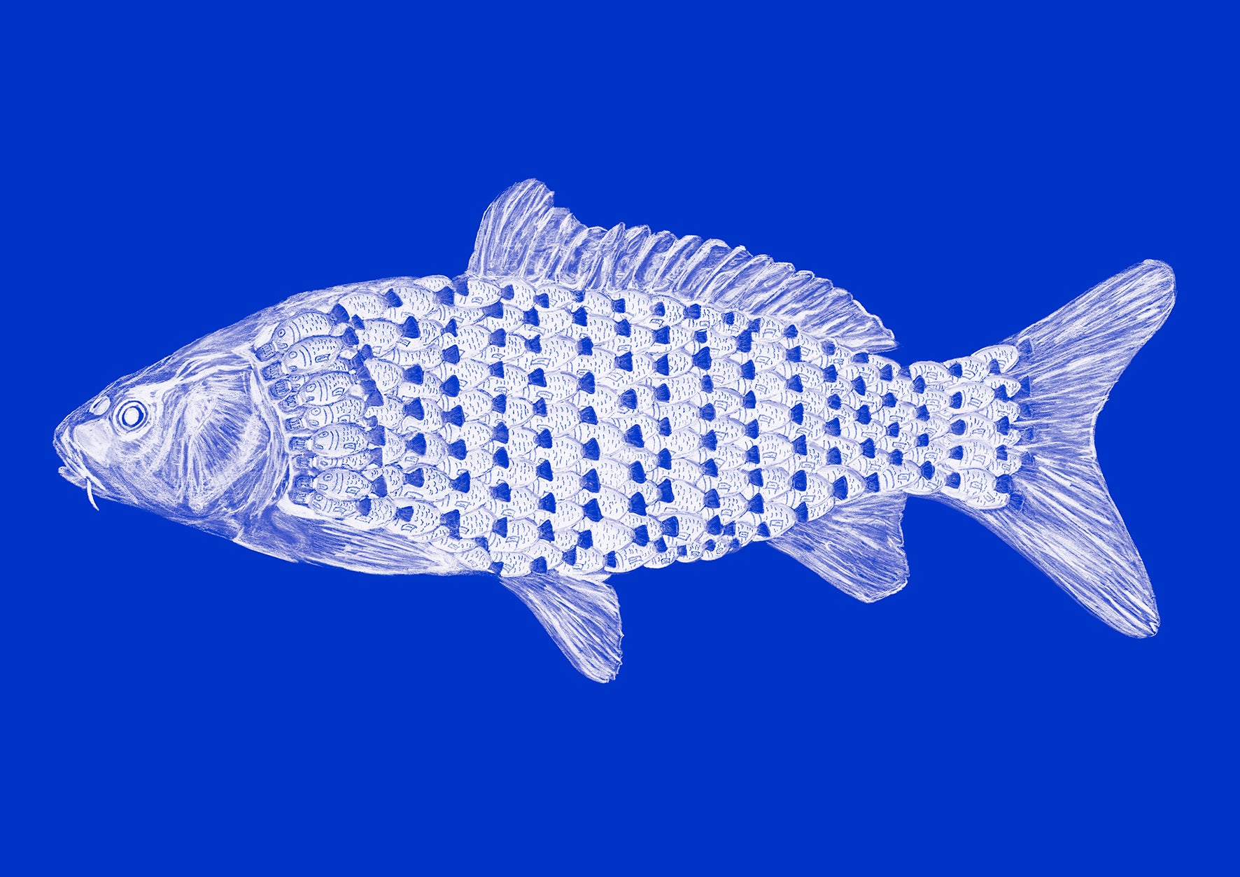 Soy Fish NO.1 - Limited Edition